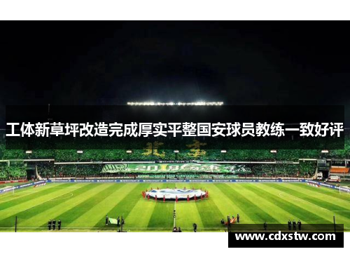 工体新草坪改造完成厚实平整国安球员教练一致好评