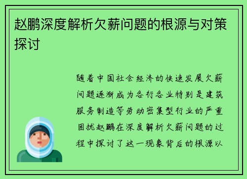 赵鹏深度解析欠薪问题的根源与对策探讨